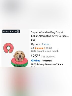 NEW XL Pink & Green Inflatable Dog Donut Recovery Collar